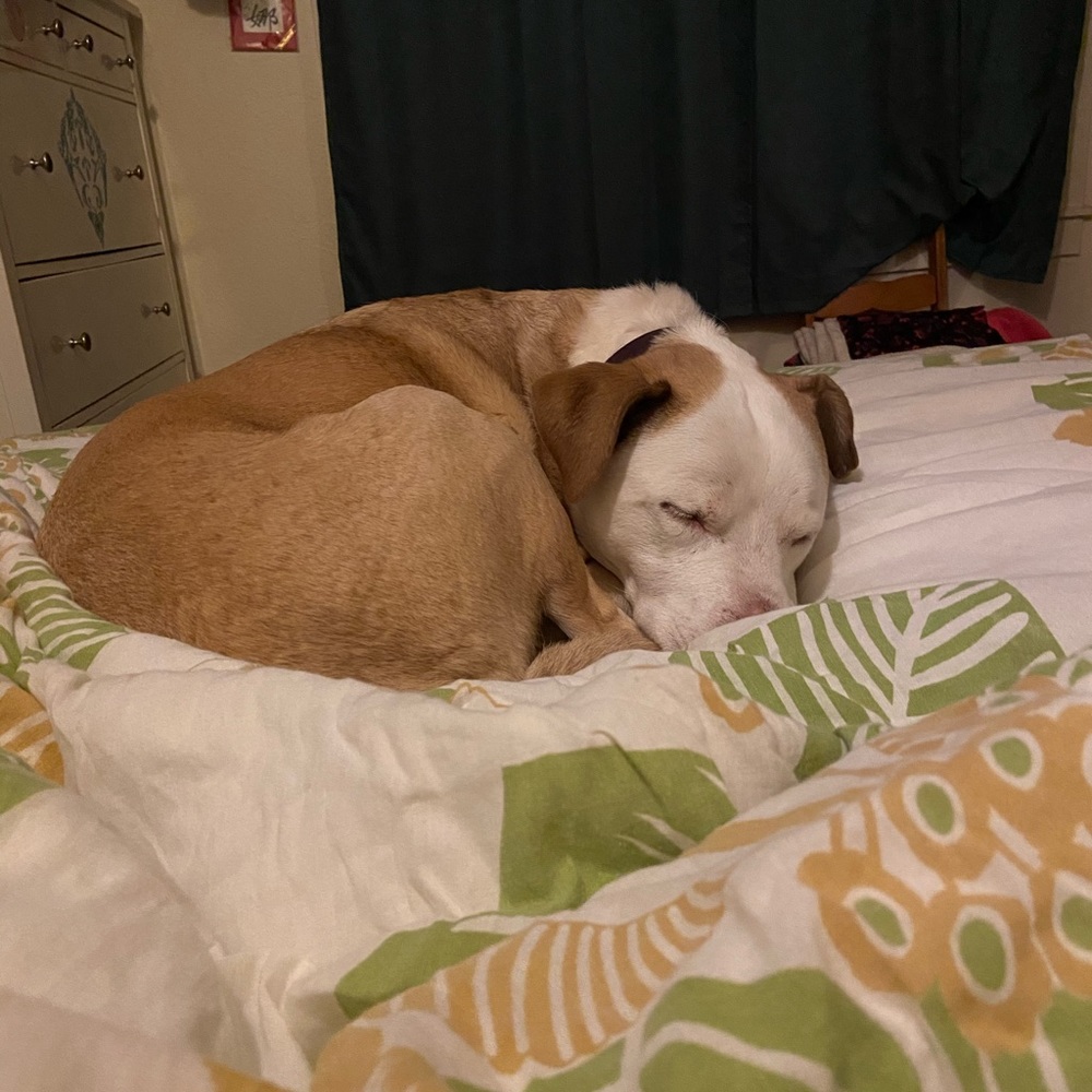 Meet your Posher, Anna